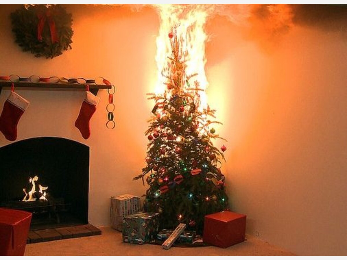 6 Most Common Hunt Valley Life