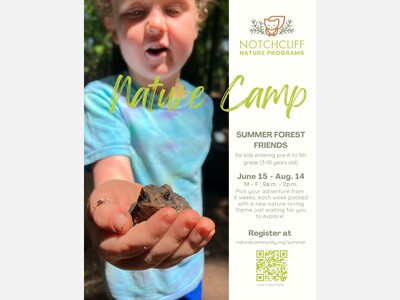 Summer Forest Friends | 100% outdoor summer camp
