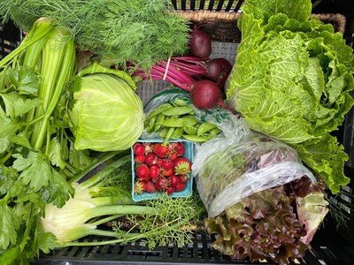 Fresh and delicious local farm products