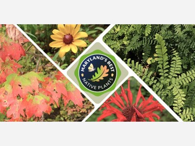 State Ag. Program
