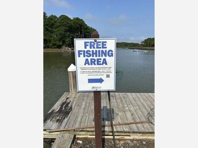 Low Cost Fishing