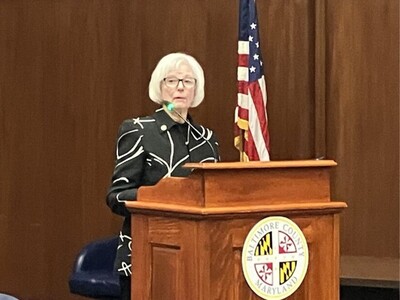 COUNTY BUDGET