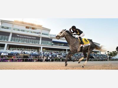 GLYNDON-BRED HORSE TO