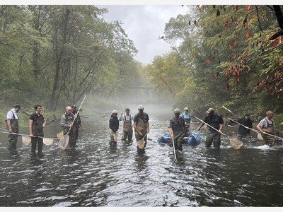 Hunt Valley's Trout