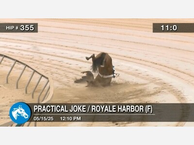 PETA Calls Out
