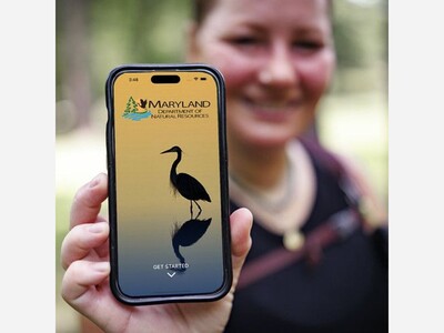 New App Release
