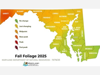 Autumn Hits Mid-
