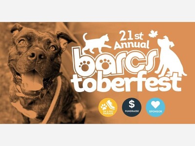 The Biggest Fest Is