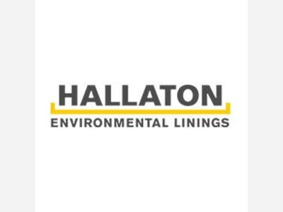 Local Group Competes