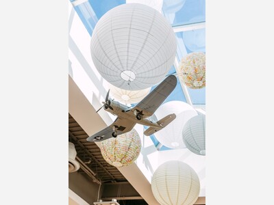 Martin Airport Flies