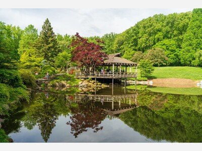 DAYTRIPS: Brookside