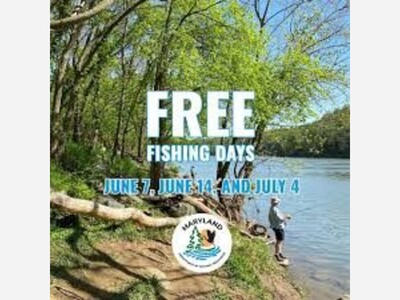 Fish For Free
