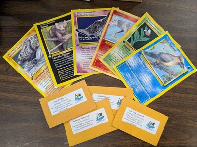 DNR Offers