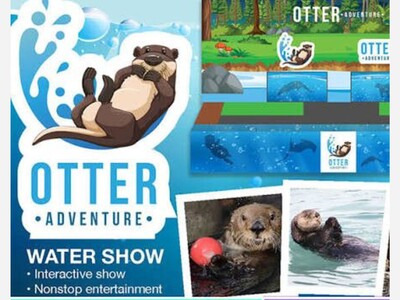 See The Otters