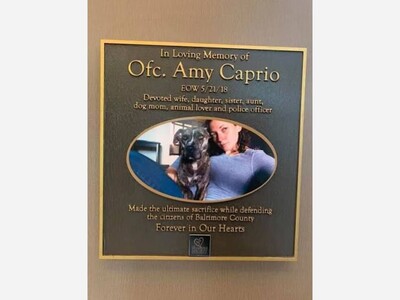 Amy Caprio Classic