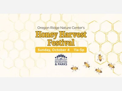 County Festivals