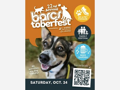 Pet Costumes, 5K