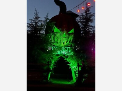 Orchards & Haunts: