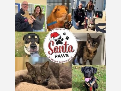 Annual Adoption Event