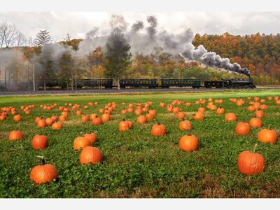 The Pumpkin Patch