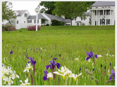 The History and Impact of the American Lawn with Paula Becker