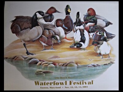WATERFOWL FEST AND KID'S FISHING DERBY